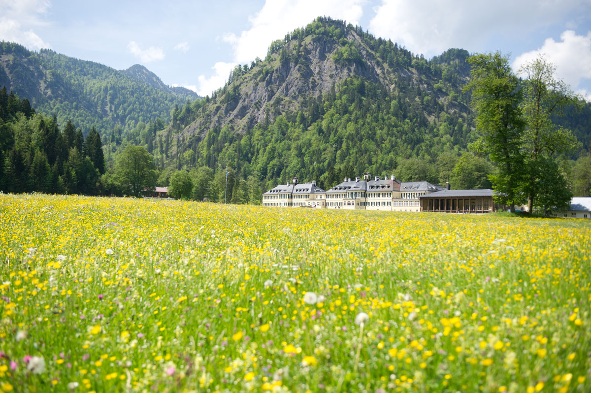 noi! in »Wildbad Kreuth«